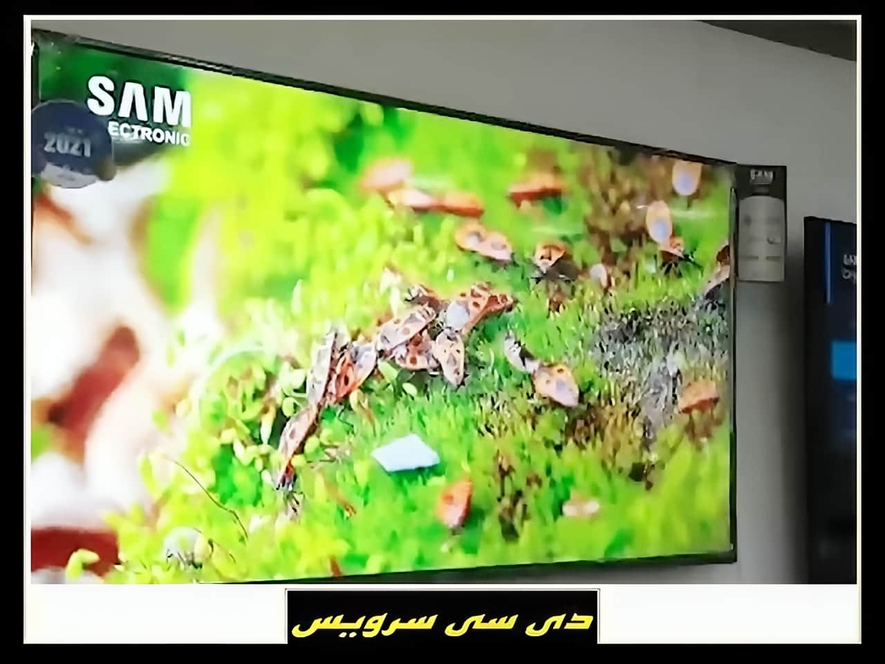 عیب یابی تلویزیون سام