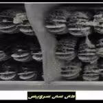 کثیفی و خرابی فن خنک کننده یخچال تی سی ال