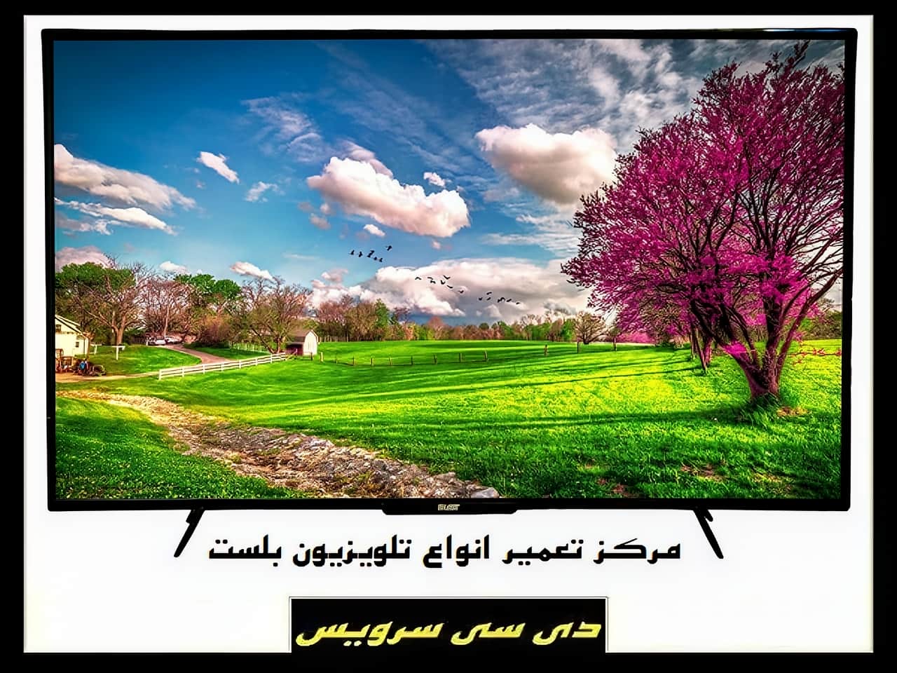 تعمیر تلویزیون بلست